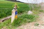 Walking holidays - Click Here For Full Details
